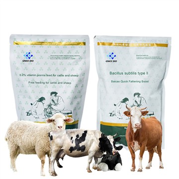Thức ăn gia súc tốt nhất để tăng cân-Chất tăng trưởng cho gia súc và cừu